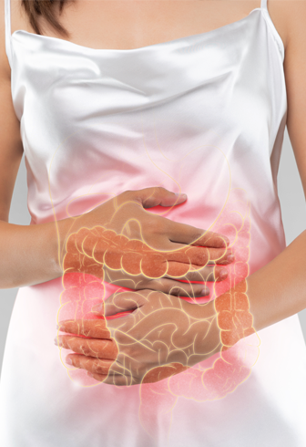 Imunidade e Saúde Intestinal